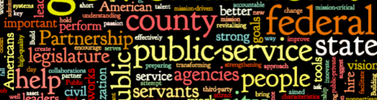 Goverment liaison